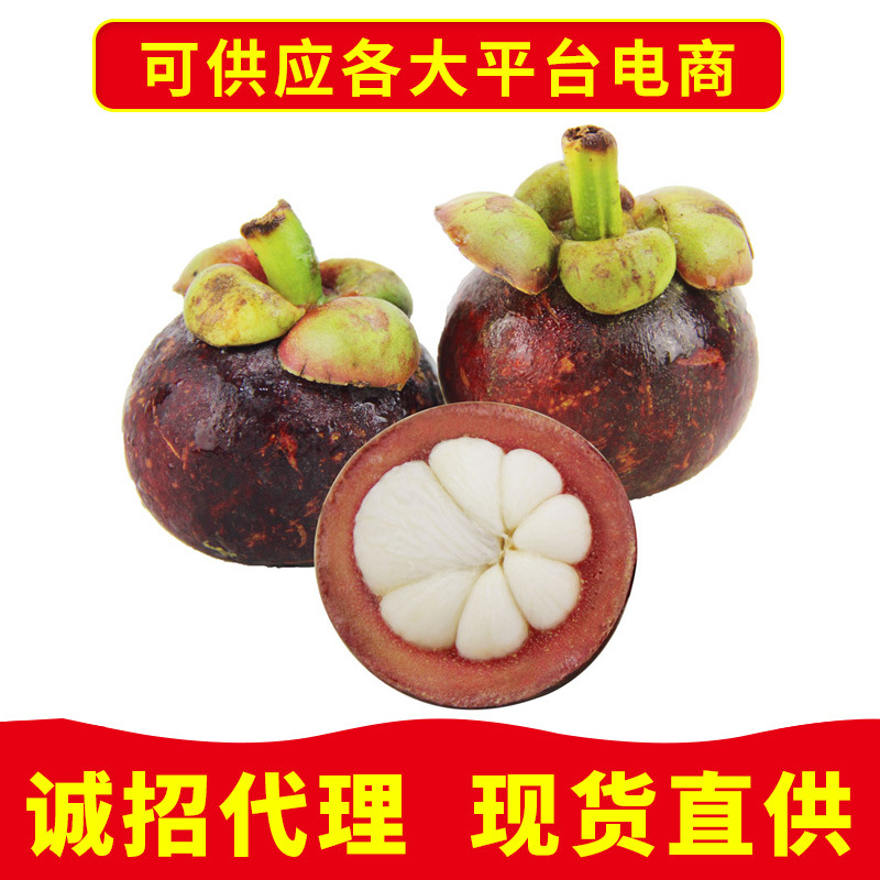 新鮮泰國4A山竹進口水果 2斤4斤裝壹件代發批發申通快遞