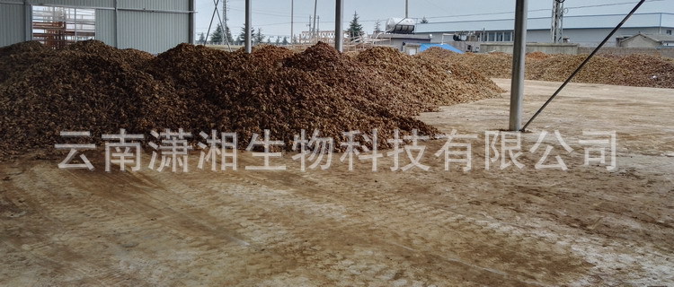 Dried Ginger Slices Gan Jiang Bulk Wholesale Luoping Small Yellow Ginger from Yunnan 500g Low Temperature Dried quality and texture
