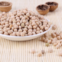 l㶹 㶹 㶹 lѿ 㶹ؑcС ᄾι