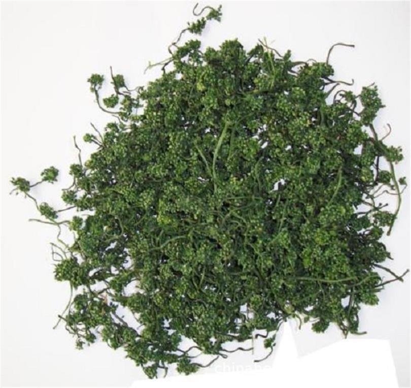 Ginseng Flower Tea 500g Ren Shen Hua Dried Buds from Changbai Mountain Northeast China New Harvest in use