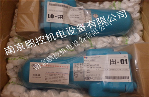 日本大生过滤器 UM-06-20U-EV 