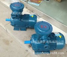 制動YE5EJ-225S-4-37KW電機制動Y2EJ電機IP54/F級采用YBX3零部件