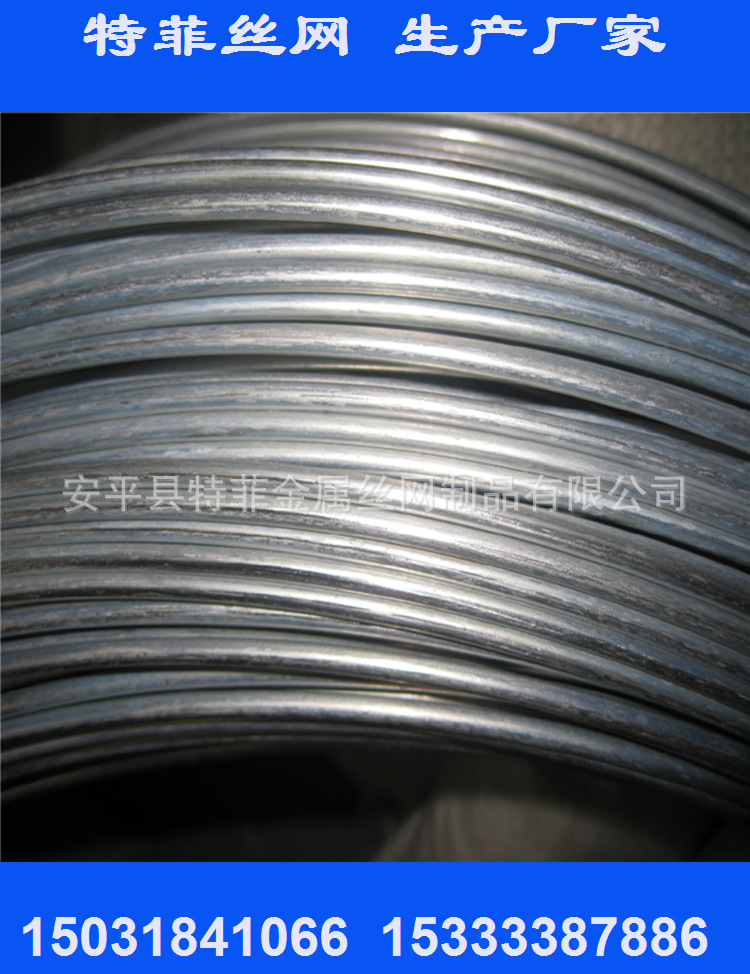 专业生产16#镀锌丝 质软 出口品质 编织袋包装 现货供应 价格低