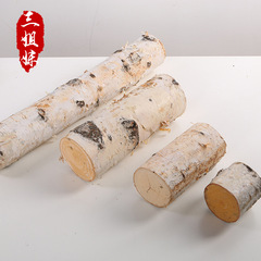 Birch Tree Wall Rural Decor Tree Trunk Landscape Real Wood Stake Photography Display Prop Raw Wood Stick Manufacturer Wholesale