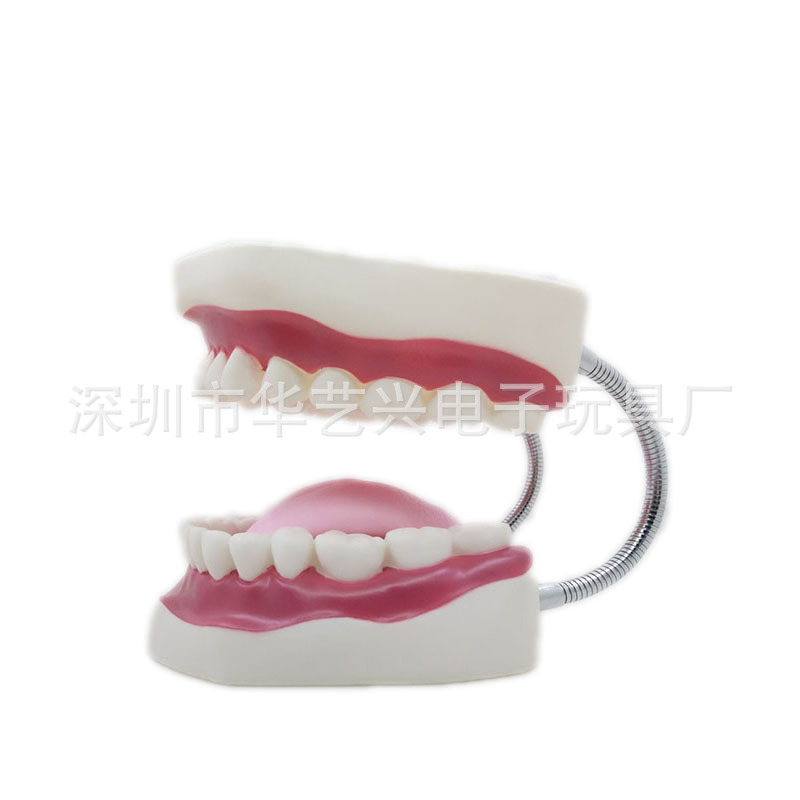 牙模1.jpg