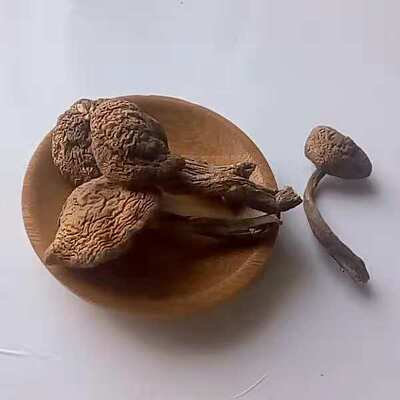 东北特产榛蘑野生蘑菇特级干货新货小鸡炖蘑菇|ms
