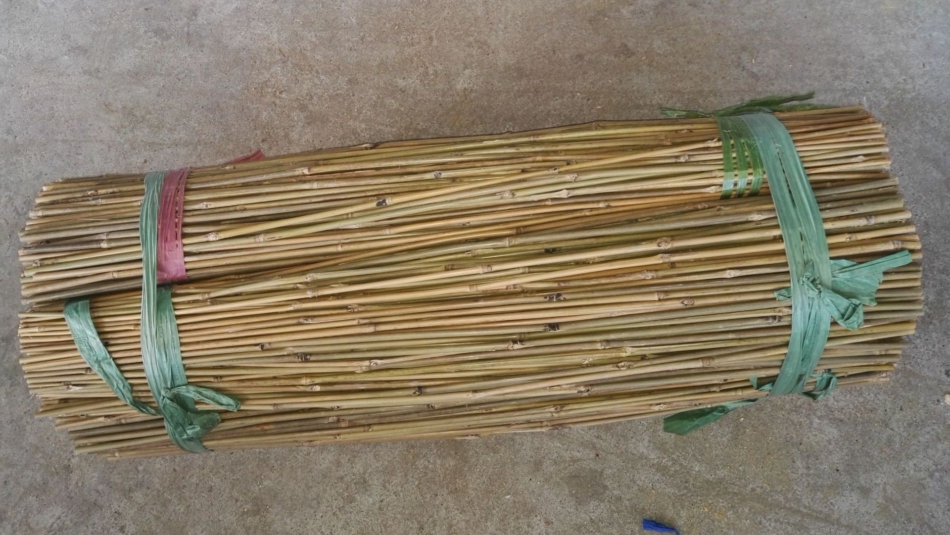 现货供应 小竹杆厘竹 厂家直销 多规格茶杆竹批发 量大从优-阿里巴巴