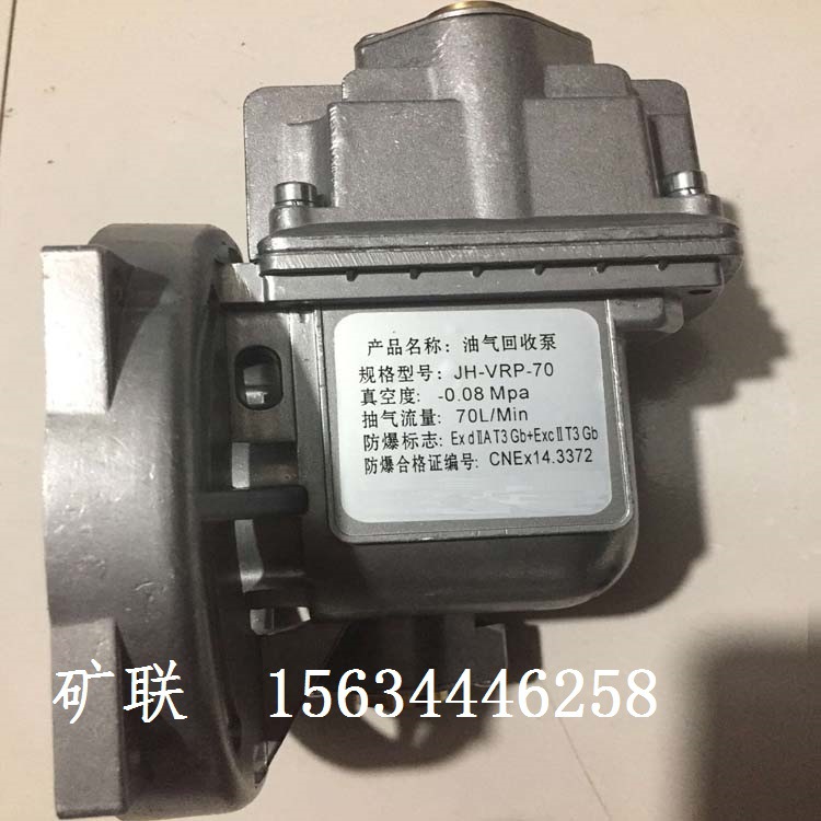 油氣回收真空泵1字