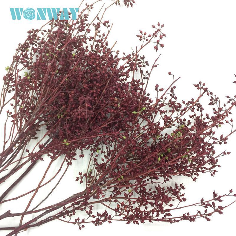 微信图片_20180126134204_副本