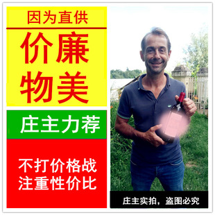 ������AOC�ɼt���ѾƳ�ϼ��÷�����l������ֱ�N���y��������