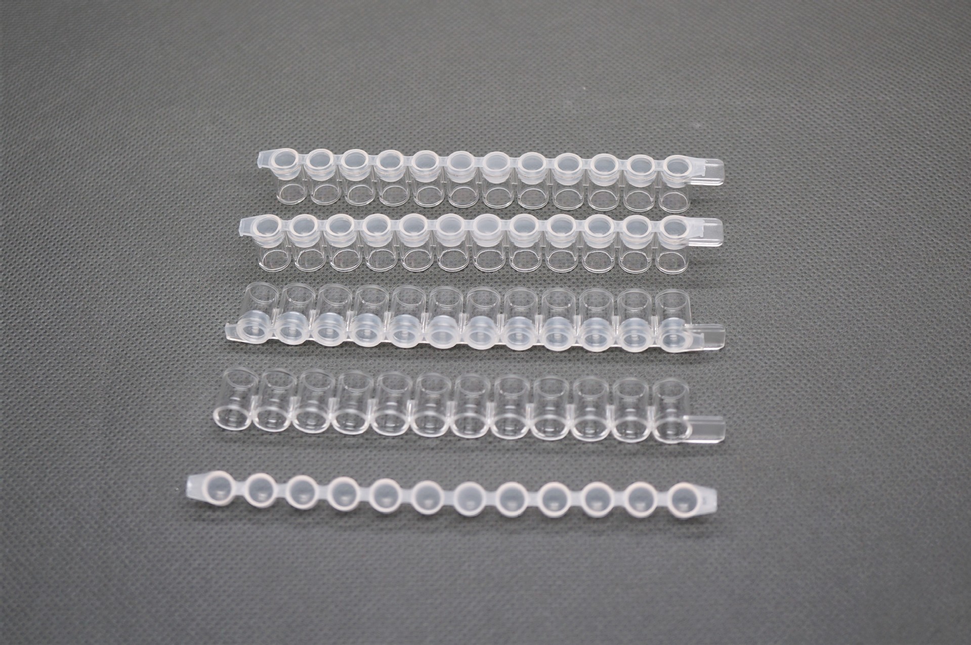 酶标板条塞盖  8孔 12孔