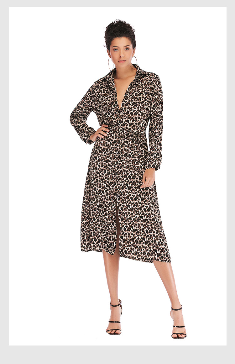 Leopard Print Lace-up Sexy Long Sleeve Dress NSJR33360