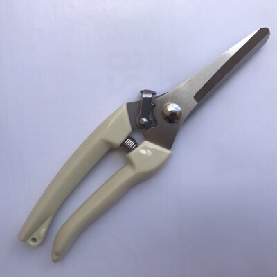 现货不锈钢多功能园艺修枝剪刀 园林工具果园花枝摘果剪刀电工剪|ru