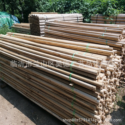 Yangmugun tree Support rod gardens Merchandise Landscaping tree Bracket green tree Bracket