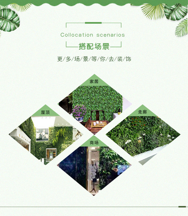 植物墙-多肉详情页_10.jpg