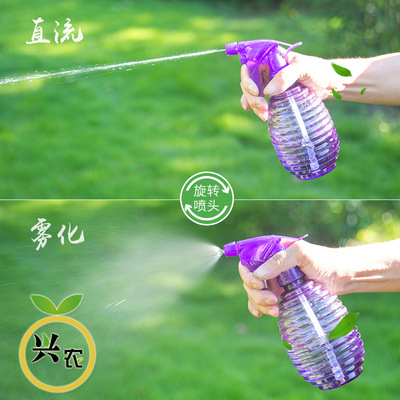 gardening Watering Mini Spout Succulent plants watering household transparent small-scale Hand pressure Spray bottle 500mL