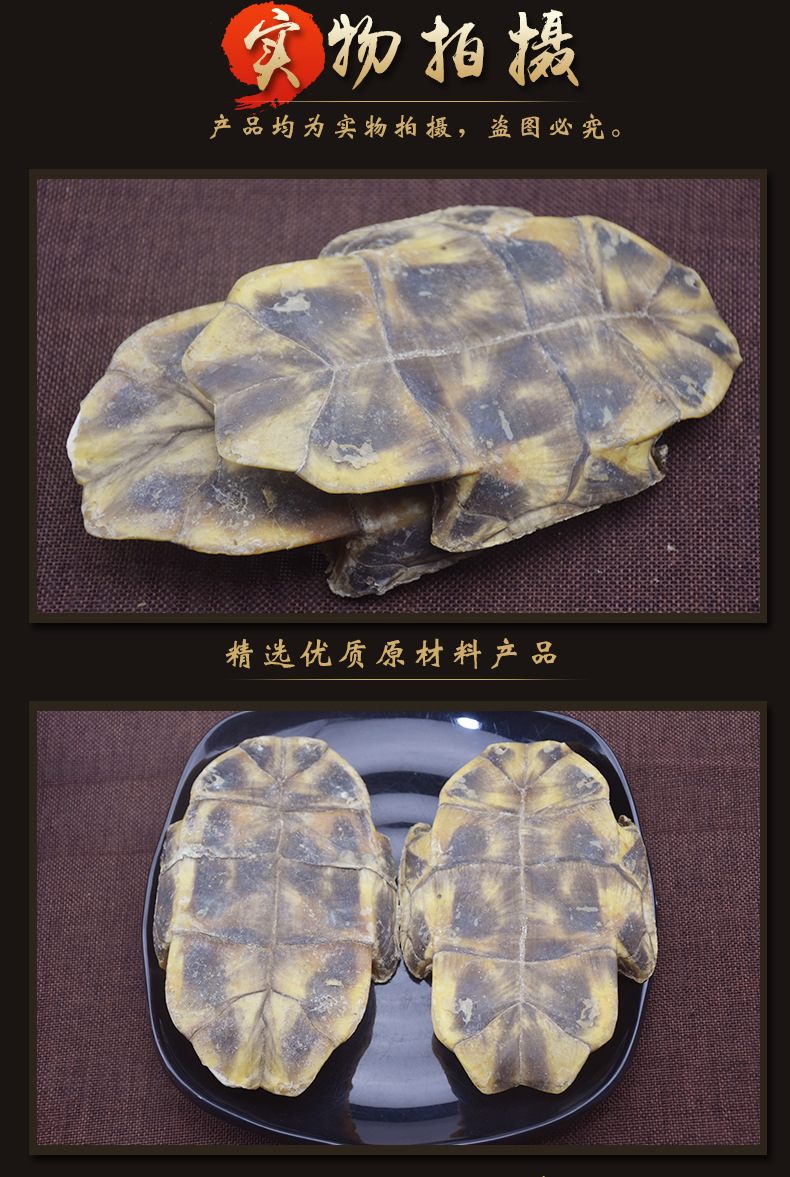 Gui Ban (Plastrum Testudinis) — Dried Turtle Shell Pieces, Whole 500g, Zhejiang Origin in use