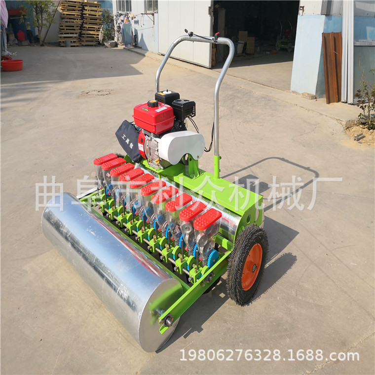 郊区多行菜籽育苗机 多行菜心播种机