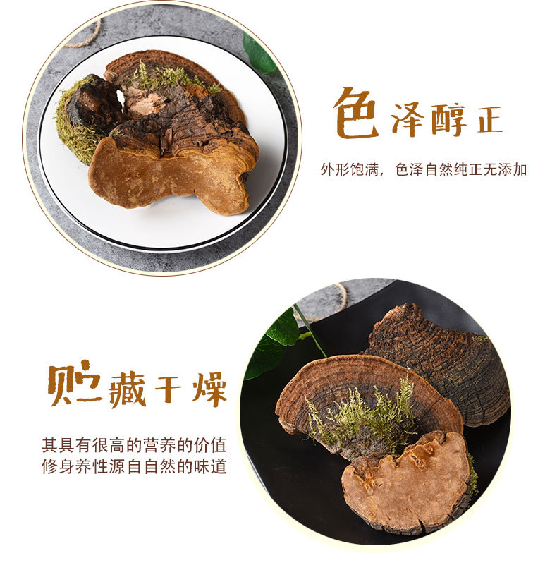 Dou Long Zhi (Ganoderma) — Tibetan Dried Reishi Mushroom, Bulk 500g Food Herb key features