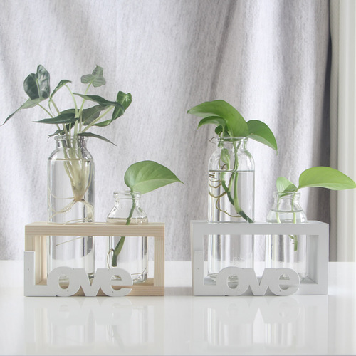 Creative pothos glass vase Nordic style hydroponic plant flower arrangement container wooden frame decoration home desktop decoration