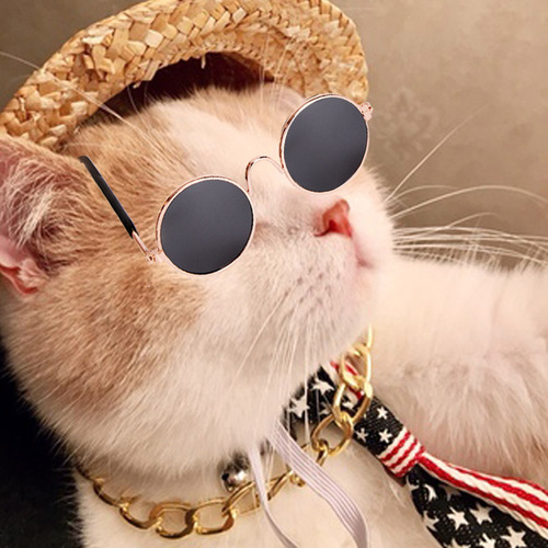 Manufacturer pet fashion accessories set sunglasses dog necklace cat supplies combination set