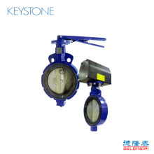 EMERSON-KEYSTONE F990 F992ϵ�е��yDN50-300