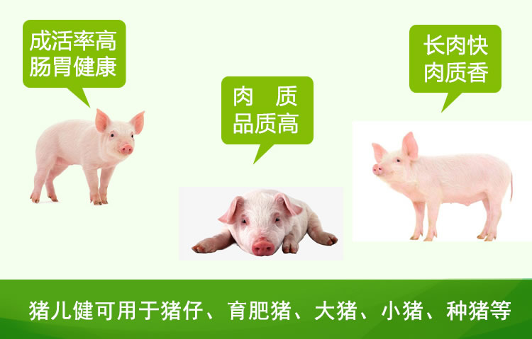 猪儿健益生菌大猪小猪都可以用