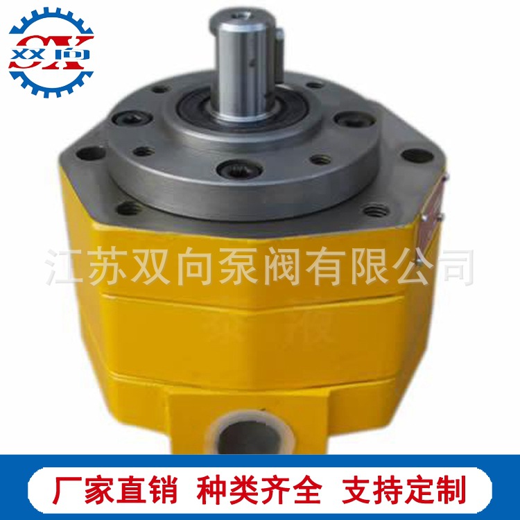 摆线内啮合齿轮泵BB-B6X BB-B10X BB-B10AF-B BB-B25YF转子式油泵