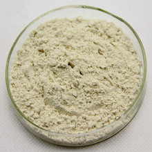 现货异鼠李素 98%  Isorhamnetin 480-19-3  3'-甲基槲皮素