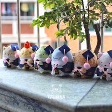 �ձ����I����ʿñ�Wʿñ��ë�q���В���Y�������