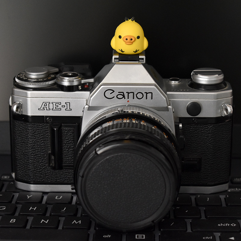 猪小鸡热靴盖 (2).JPG