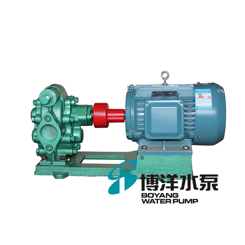 KCB-55不锈钢卫生食品级齿轮泵 饮料，食品油齿轮泵 实验泵