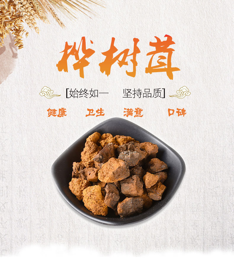Chaga Mushroom (Inonotus obliquus) — Wild-Harvested Birch Conk from Changbai Mountain, 500g overview