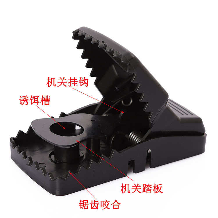 9040155051_1543.jpg?x-oss-process=image/format,png