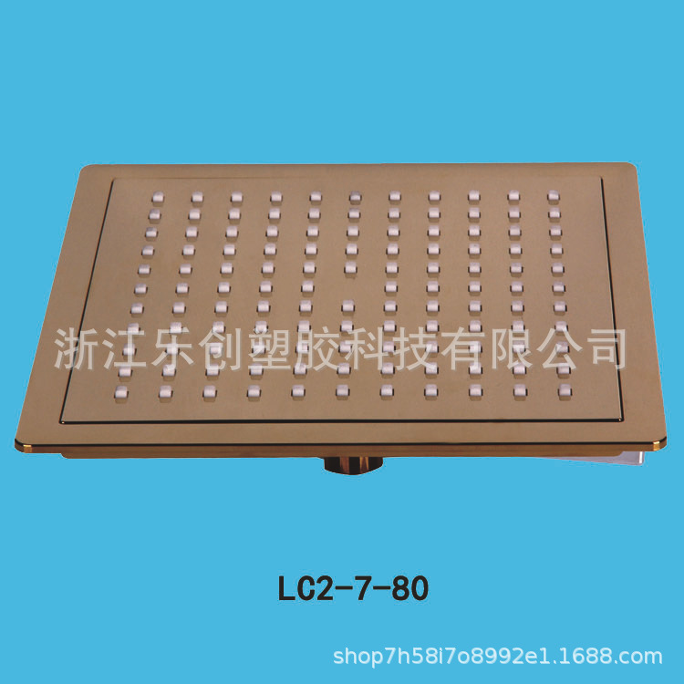 淋浴花洒 顶喷 妇洗器 LC2-7-80