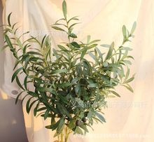 ��֦�ϙ��~ �����~�Ř��~���~�����~����ֲ��G�~ ��֦�����b�