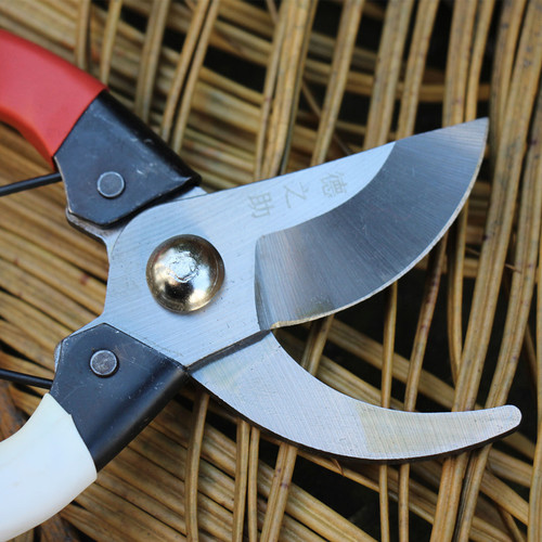 Wholesale flower branch shears, pruning shears, garden scissors, thick branch shears, household labor-saving fruit branch scissors, garden tools