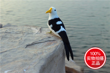 ���溣�t��ë���t���B�̈������@���b[�����С�B�ֹ�ˇƷ