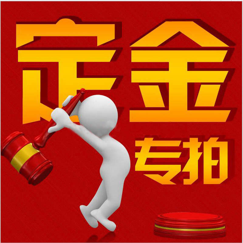 定金专拍连接 起版费 生产加工定制产品 尾款付款链接 不支持退款