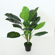 2023�¿����Gֲ���Ԡ����͹������ϼ٘仨�f����68cm��ȸ�~�辰