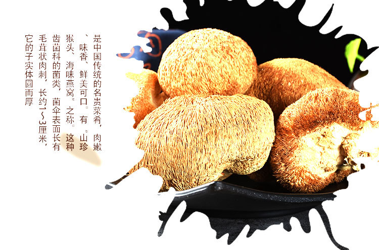 Hou Tou Gu Dried Mushroom (Hericium erinaceus) — Gutian Lion's Mane Food Herb 500g key features