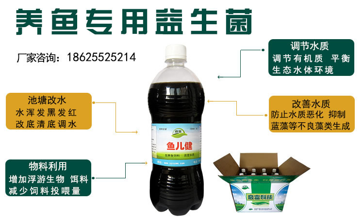 养鱼专用益生菌