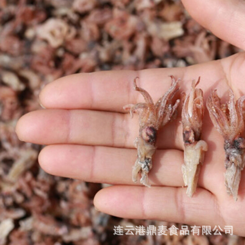 新货自晒小乌贼头籽乌头乌贼干海兔头干 墨鱼头 500克
