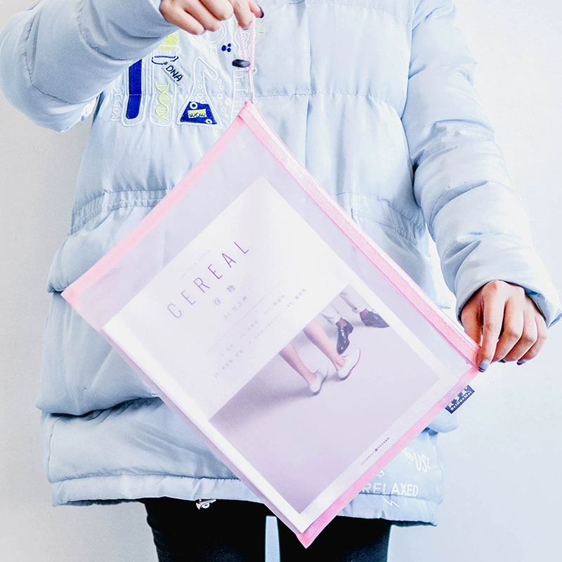 Красивые прозрачные нейлоновые сетчатые файлыbags?