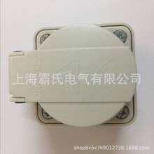 原装工业插座TYP-10081 德标低压附加式直插座230V 16A  2P