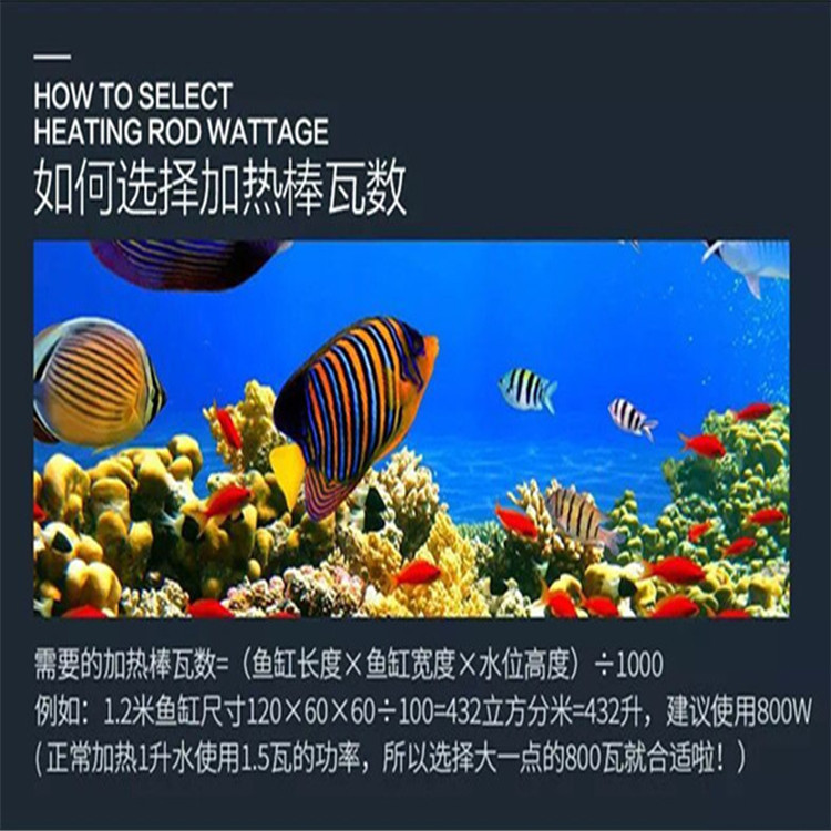 鱼缸用品_鱼缸自动恒温加温棒水族箱加热器鱼缸用品离水断电