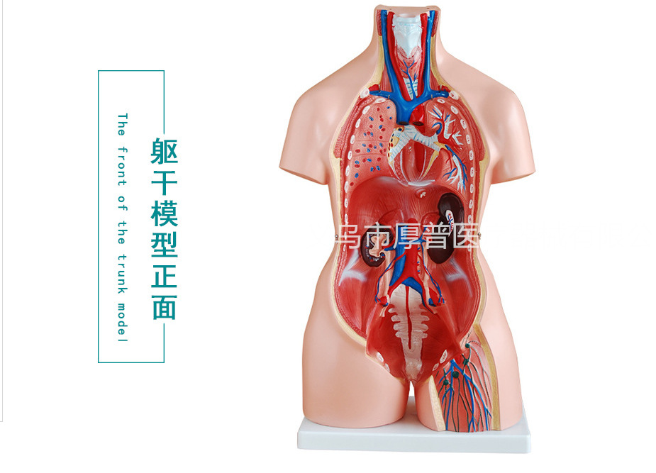 微信图片_20180726170441_副本