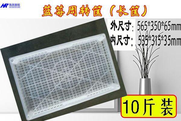 批发零售塑料蓝莓采摘筐 树莓周转筐 蓝莓运输筐物美价廉