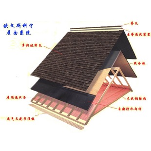 ֱ���M�ڸ�Ʒ�|�W��˹�ƌ��r���߶�ʲ��w�������p��30��r����