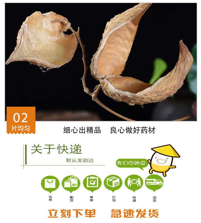 Tian Jiang Ke (Metaplexis japonica) — Dried Fruit Shell, Traditional Herbal Decoction Piece quality and texture